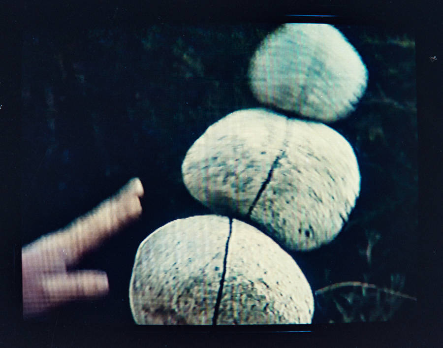 Ciągłość nieskończoności