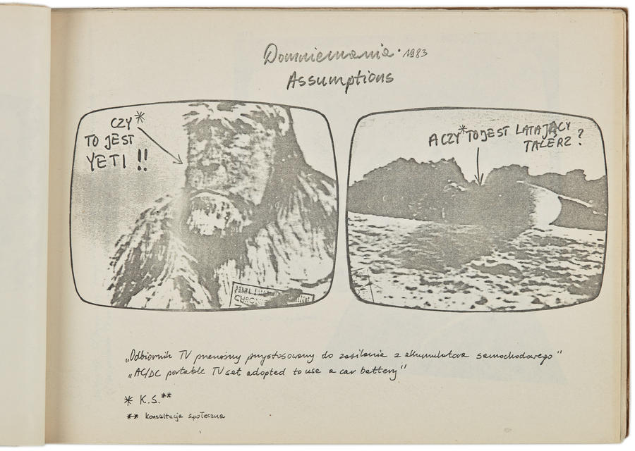 Portfolio Zygmunta Rytki