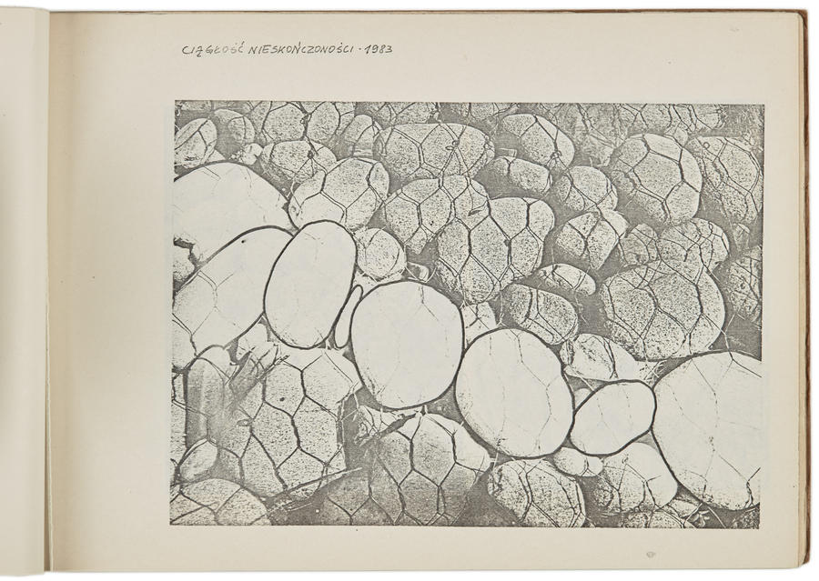Portfolio Zygmunta Rytki