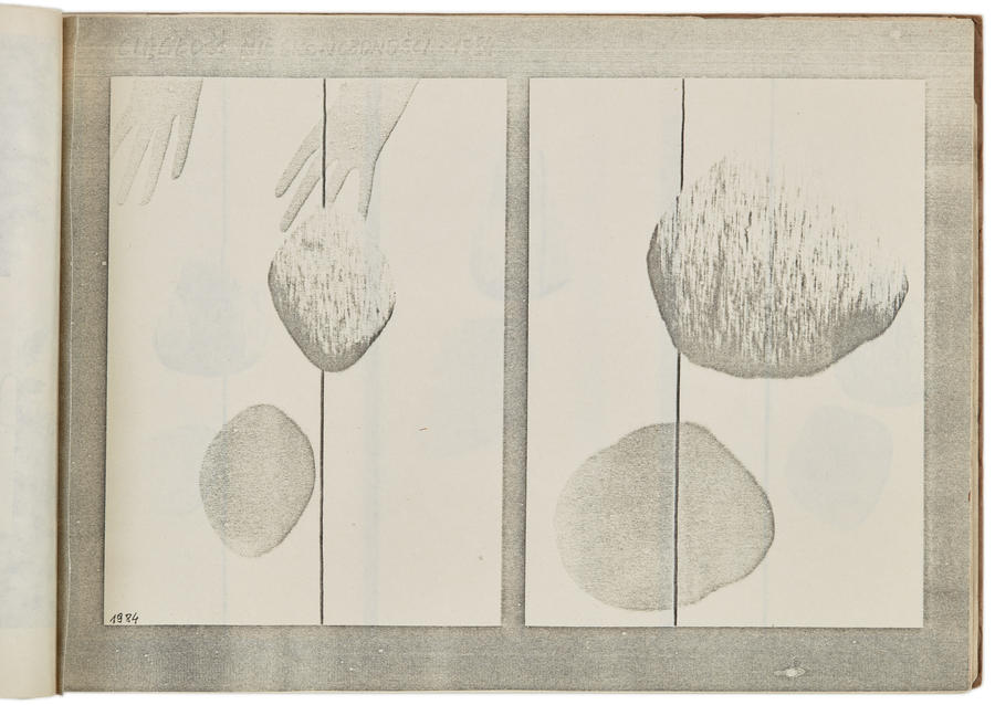 Portfolio Zygmunta Rytki