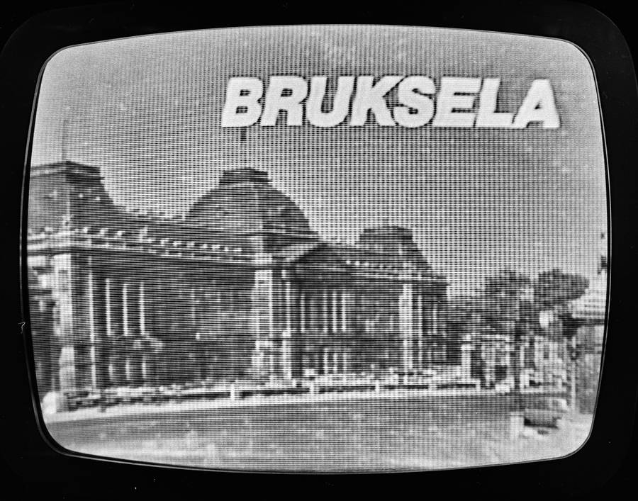 Fotowizja