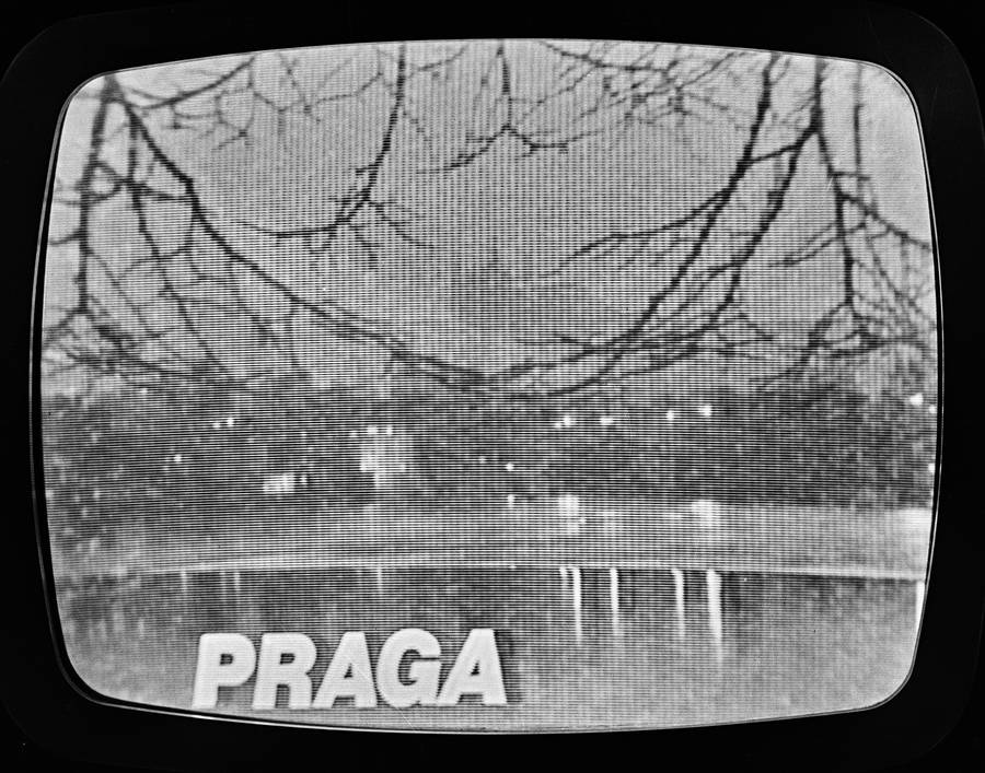 Fotowizja