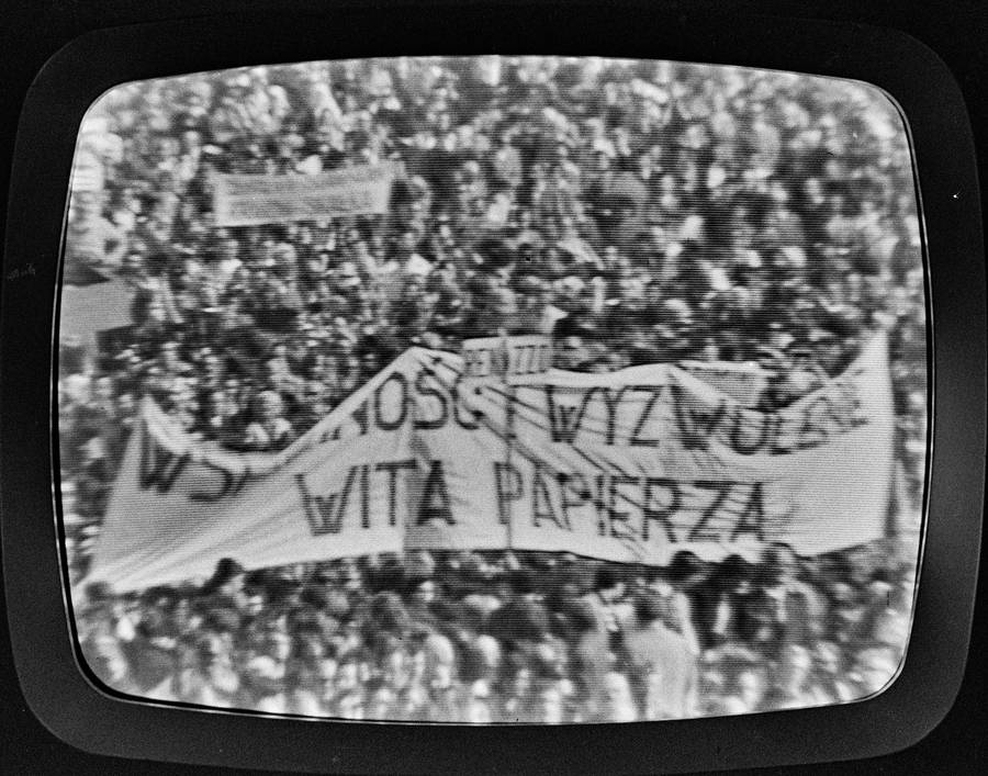 Fotowizja