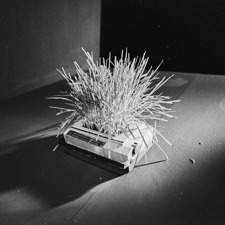 Krzysztof Zarębski, wystawa, Galeria Współczesna, Warszawa, 1973