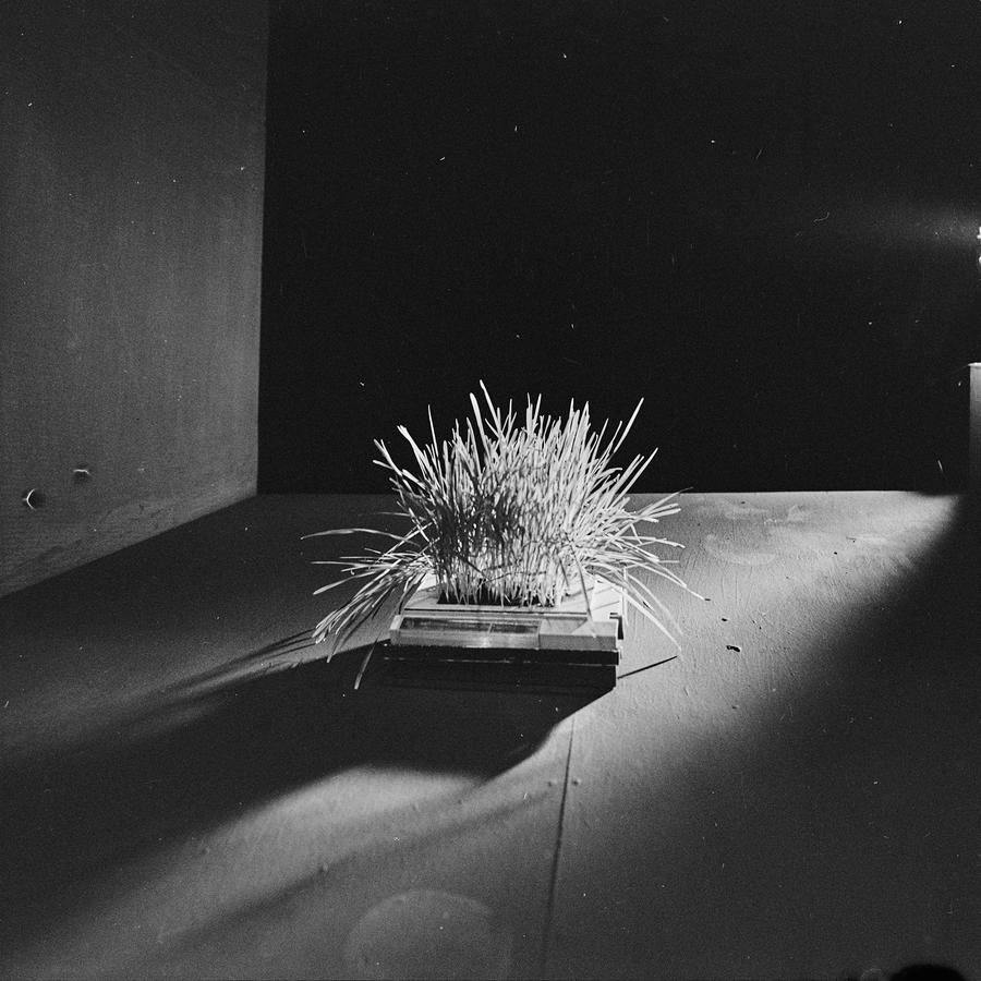 Krzysztof Zarębski, wystawa, Galeria Współczesna, Warszawa, 1973