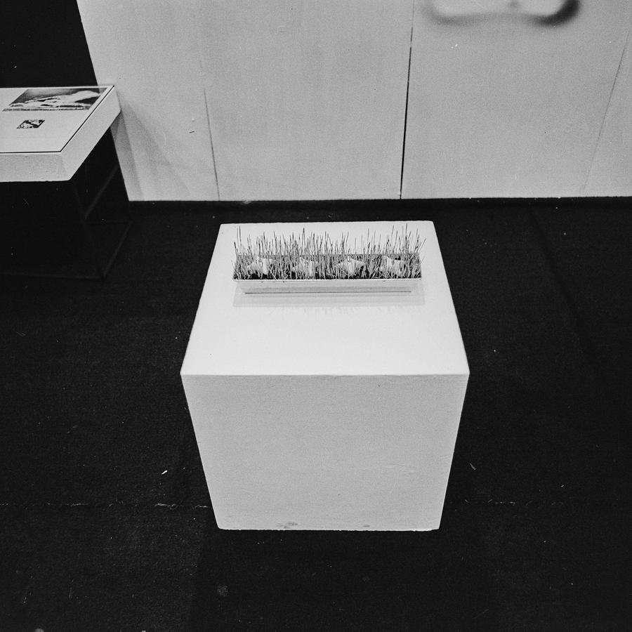 Krzysztof Zarębski, wystawa, Galeria Współczesna, Warszawa, 1973