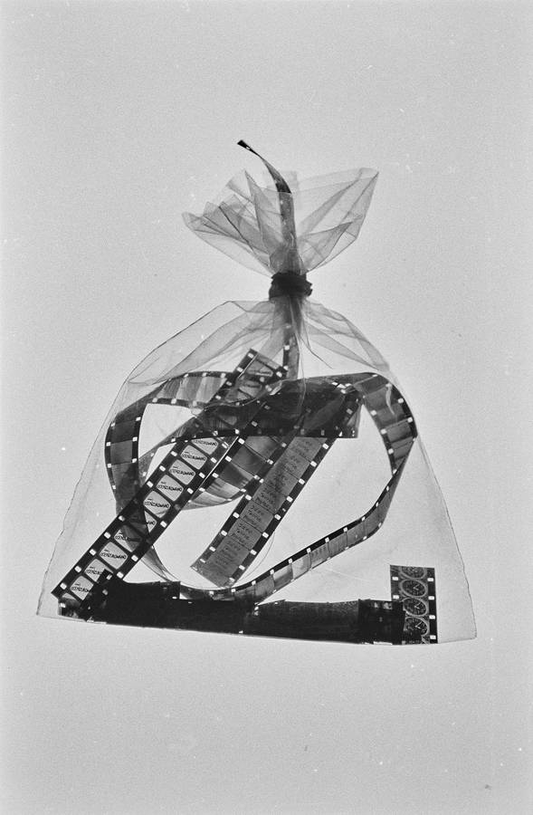 Entropia Film