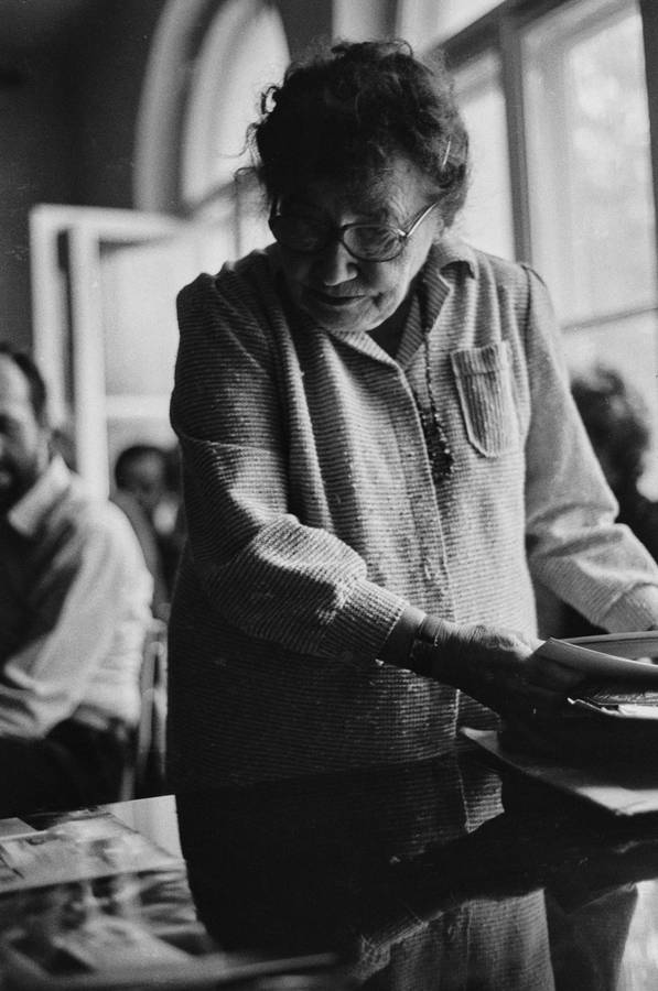 Plener w Skokach, 1986