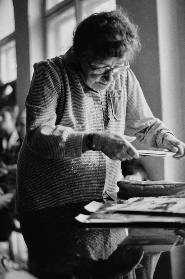 Plener w Skokach, 1986