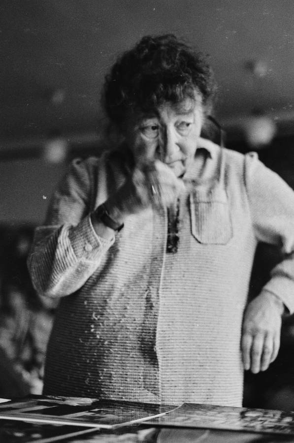 Plener w Skokach, 1986