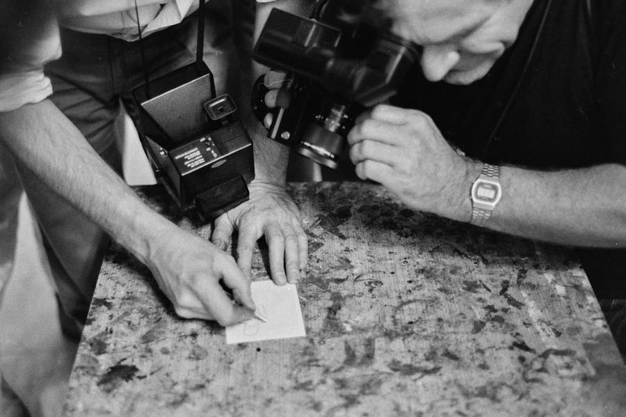 Plener w Skokach, 1986