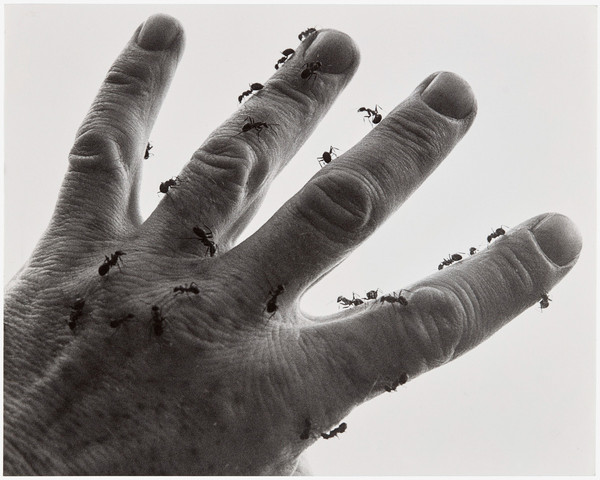 Contact, 1993