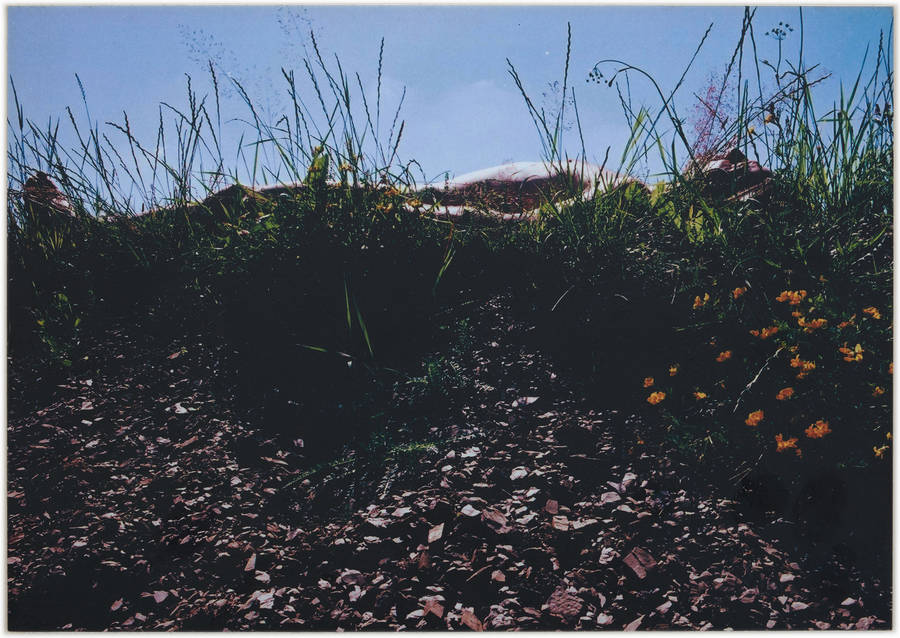 Lying, 1999