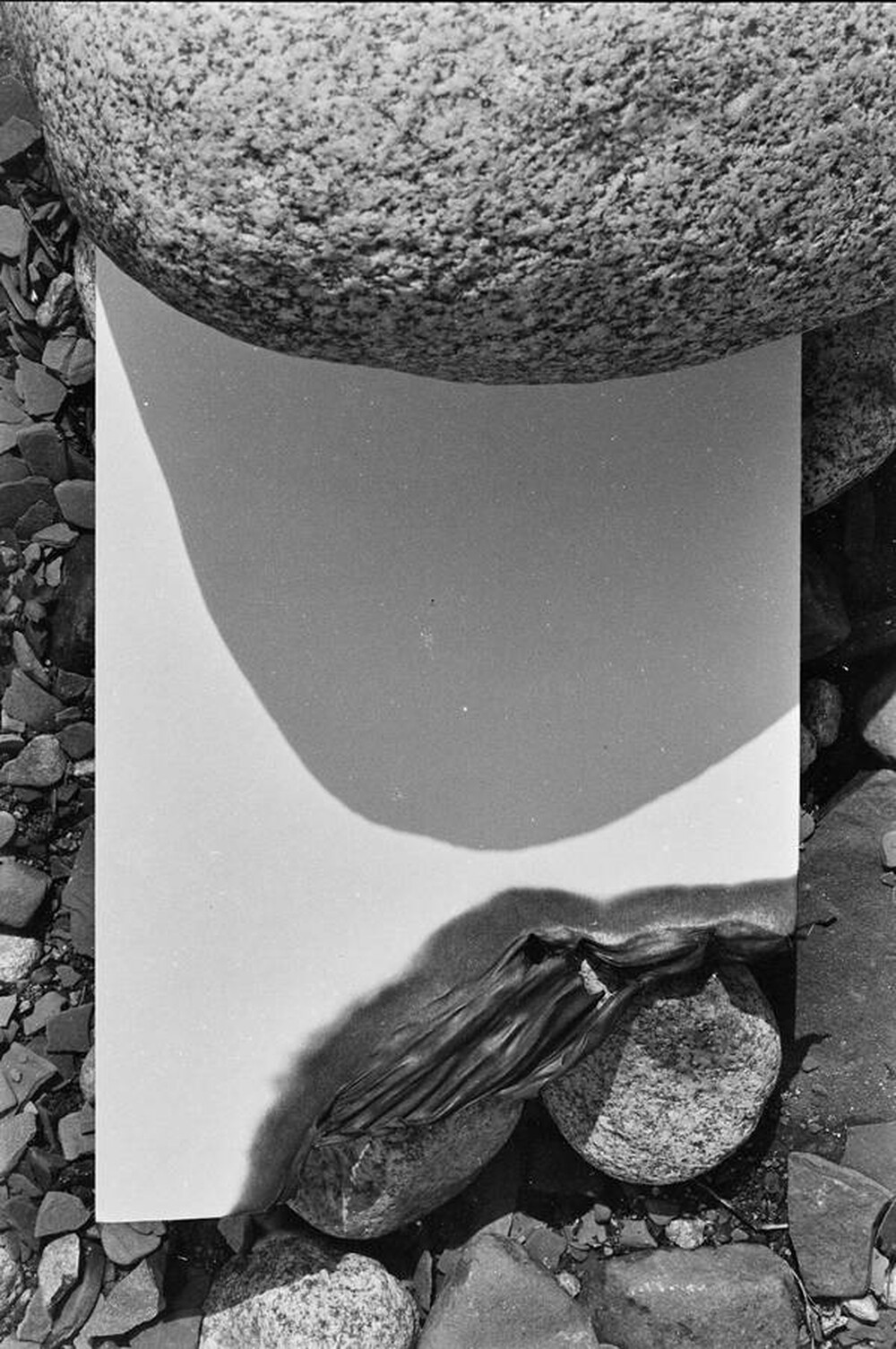 Continual Infinity