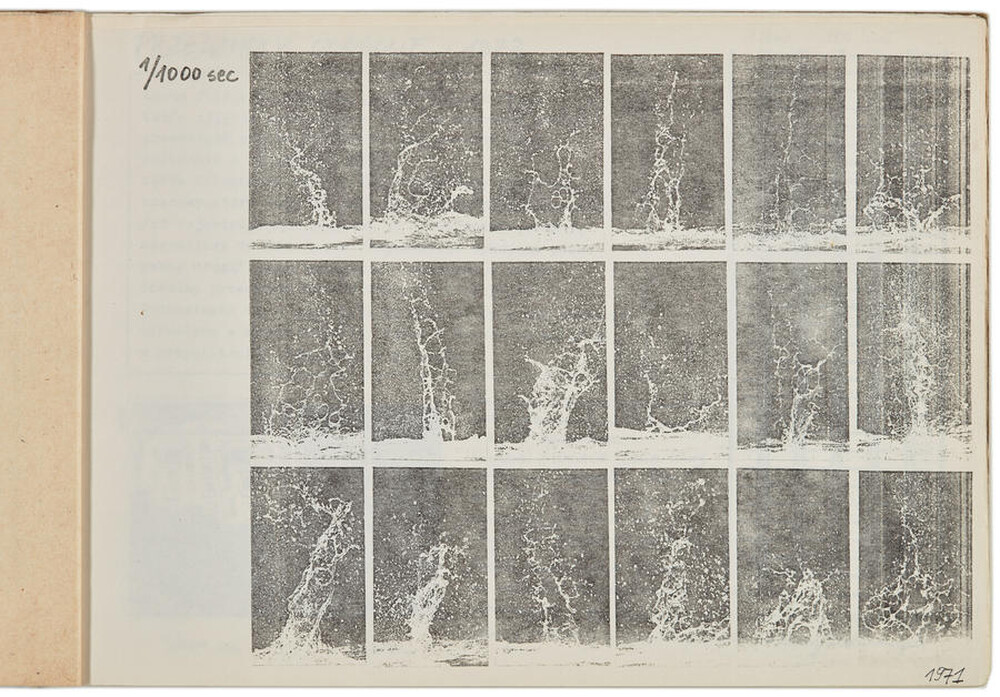 Portfolio of Zygmunt Rytka