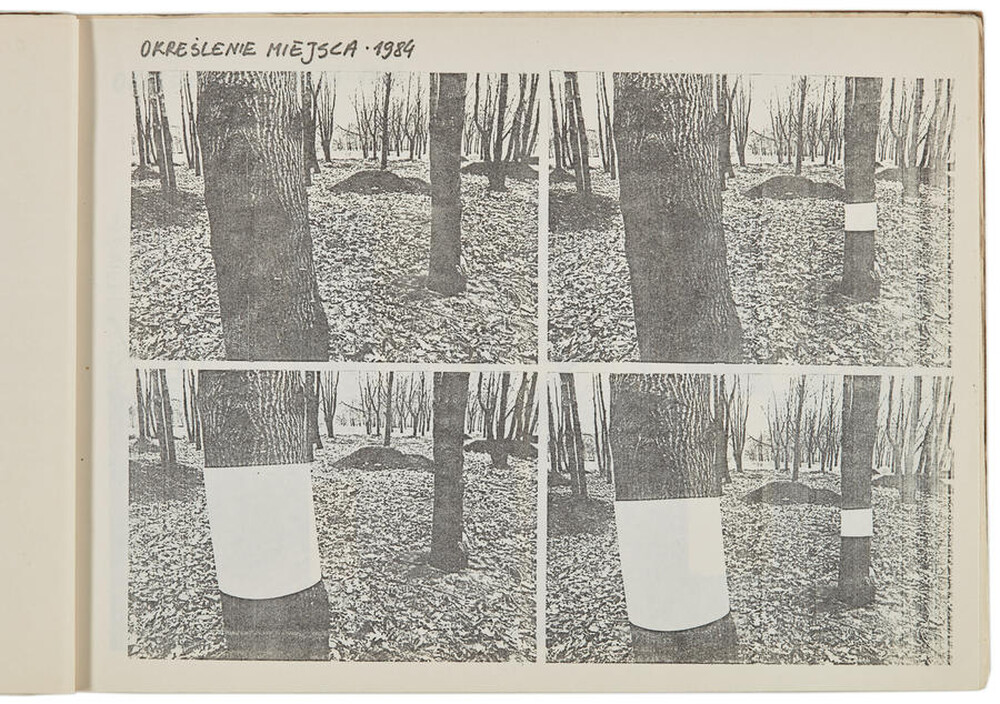Portfolio of Zygmunt Rytka