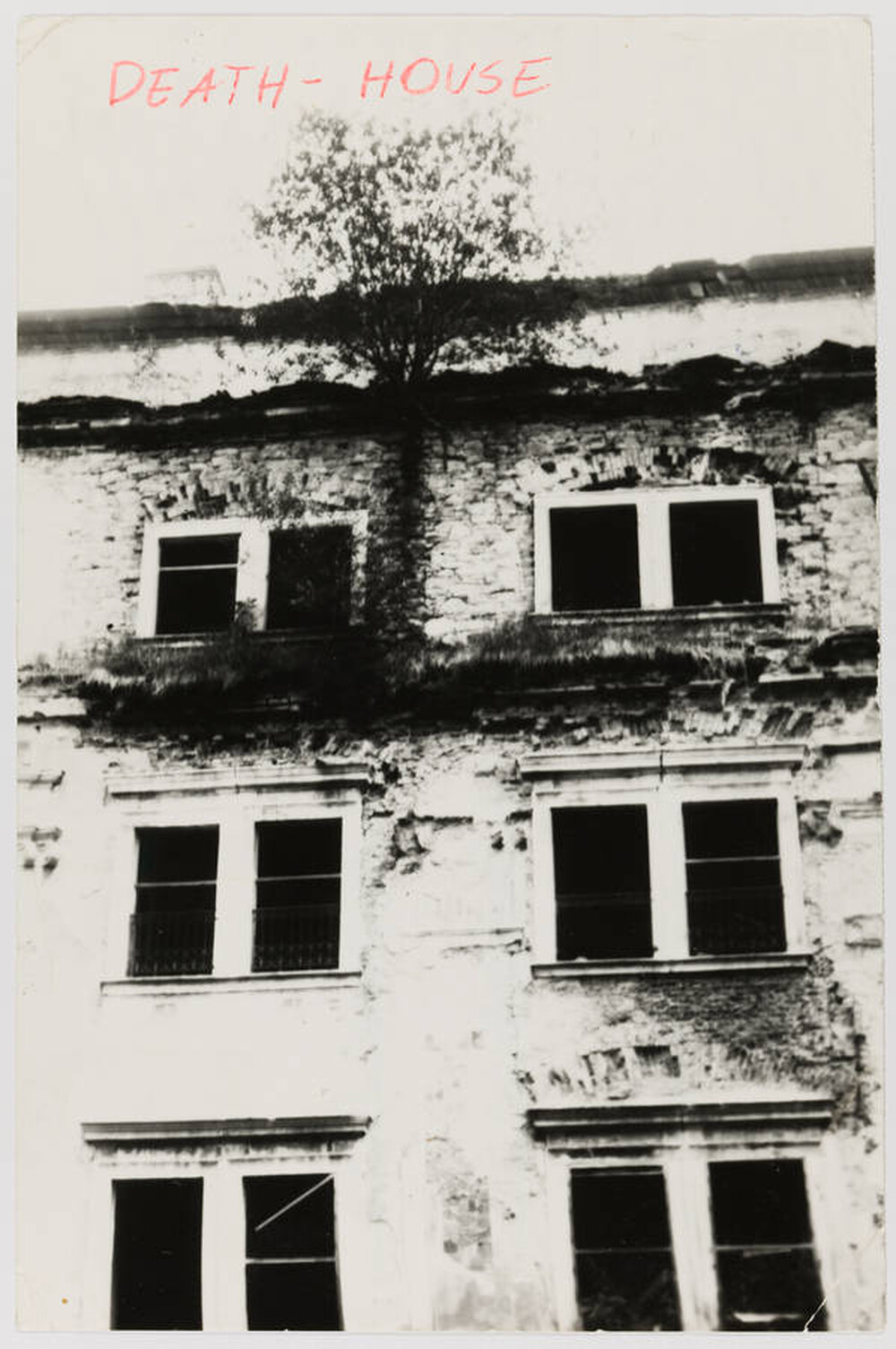 Postcard by Krzysztof Jurecki with New Year's greetings for Zygmunt Rytka, sent from Krakow