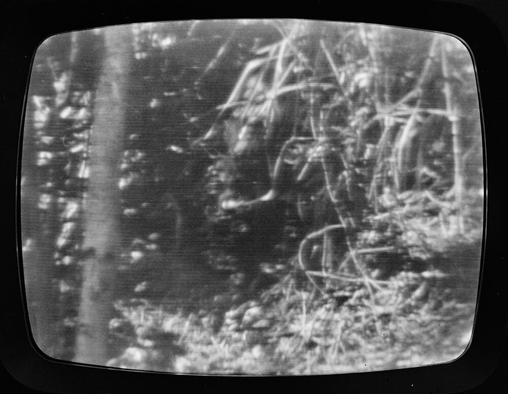 Photovision