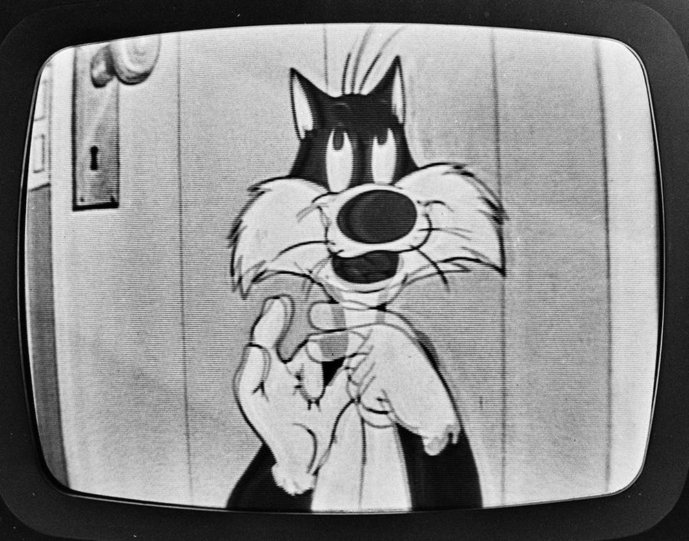 Fotowizja