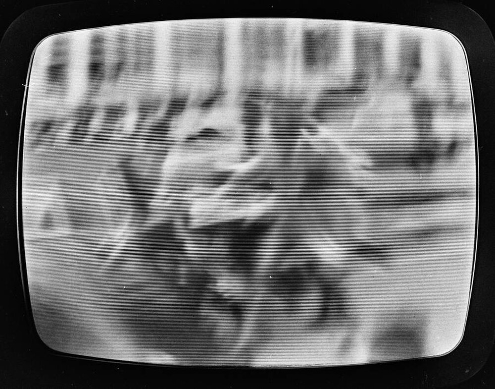 Fotowizja