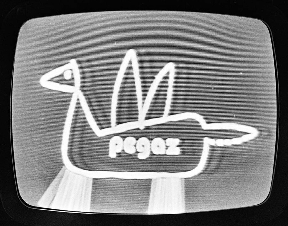 Fotowizja