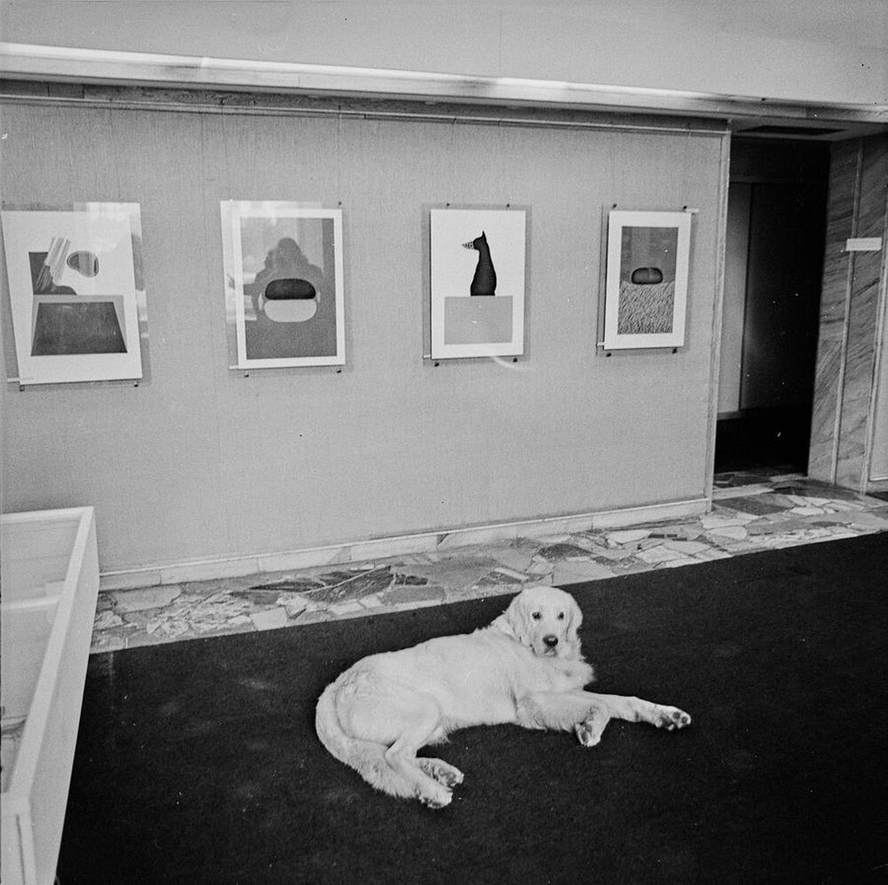 Krzysztof Zarębski, wystawa, Galeria Współczesna, Warszawa, 1973