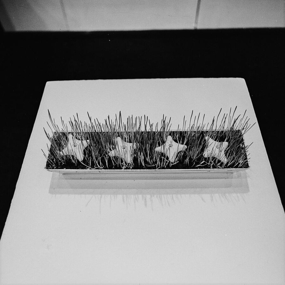 Krzysztof Zarębski, wystawa, Galeria Współczesna, Warszawa, 1973