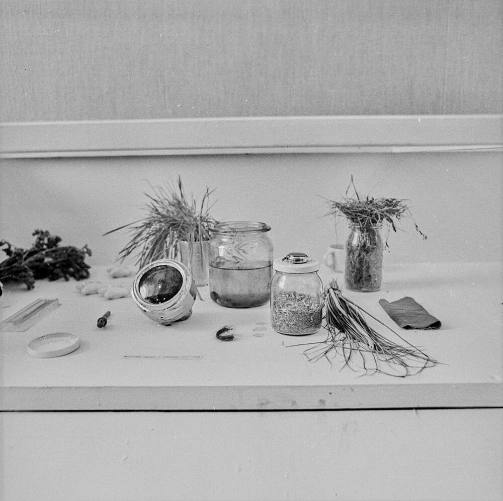 Krzysztof Zarębski, wystawa, Galeria Współczesna, Warszawa, 1973