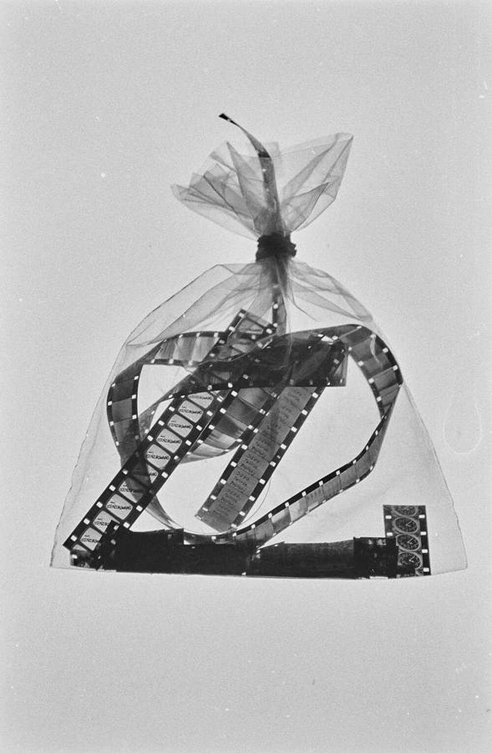 Entropia Film