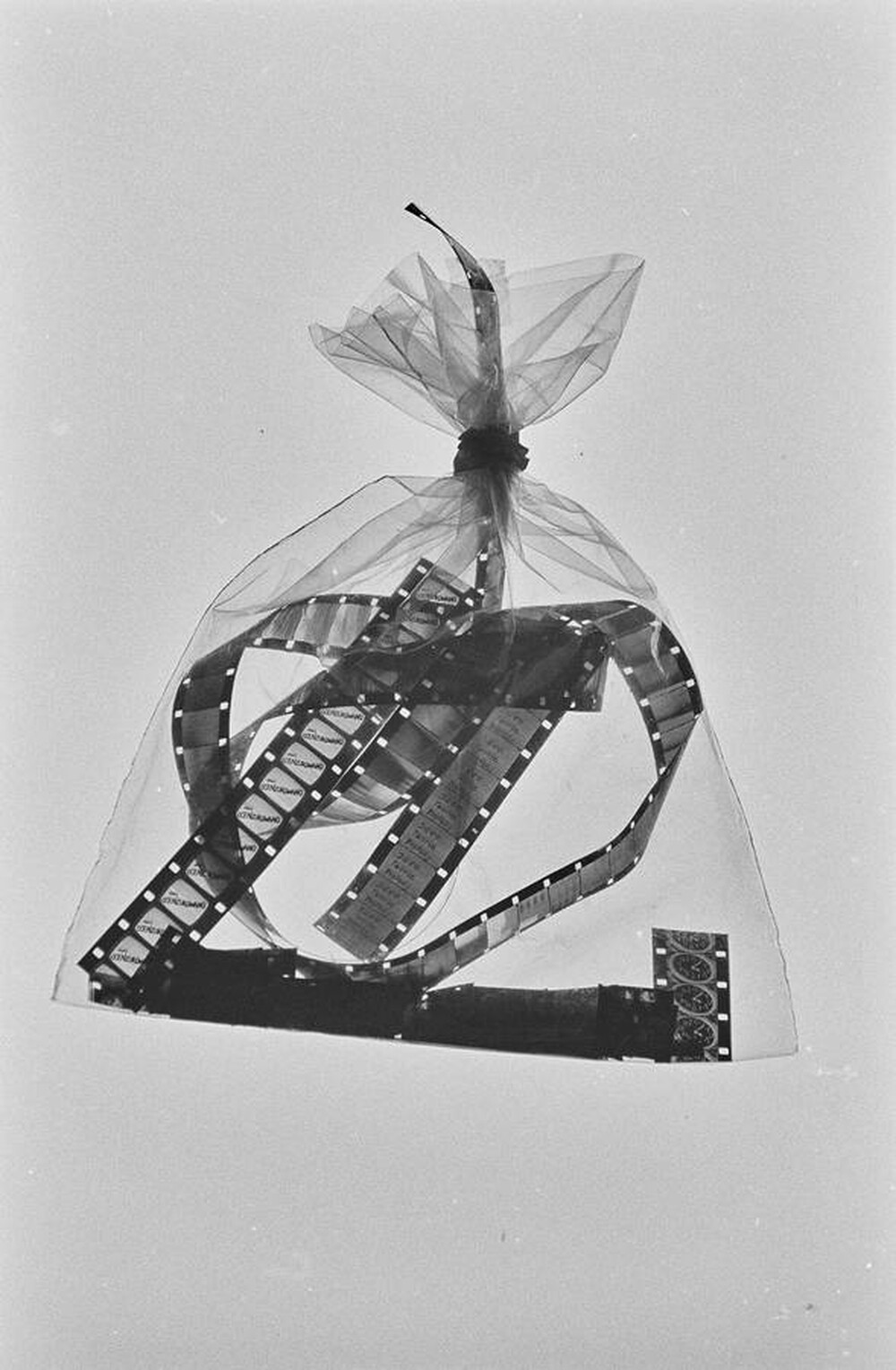 Entropia Film