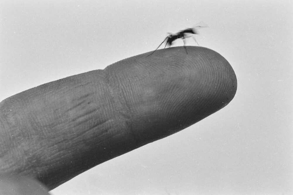 Contact