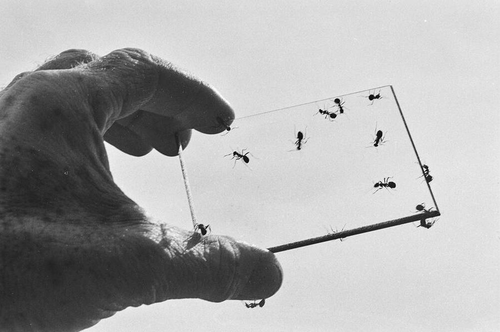 Contact