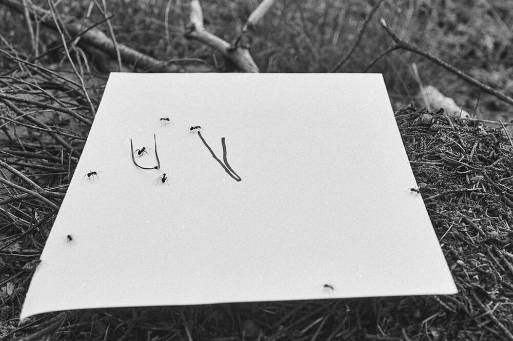 Contact