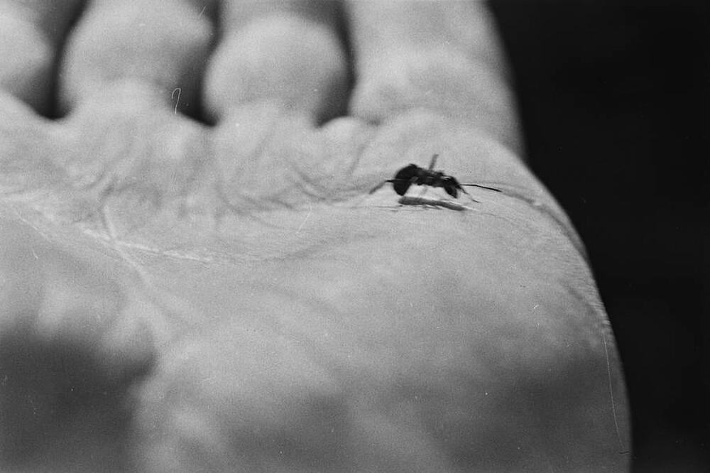 Contact