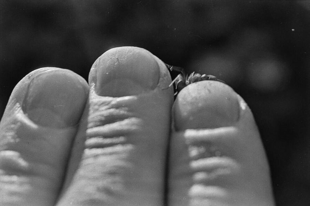 Contact