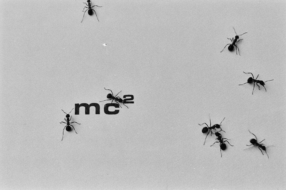 Contact