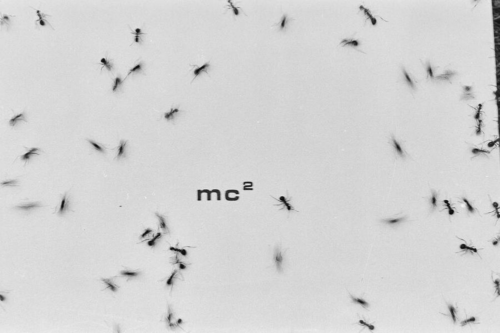 Contact