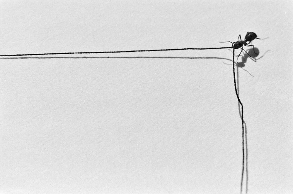 Contact