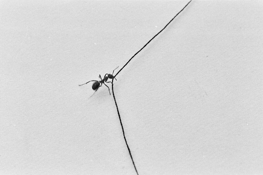 Contact