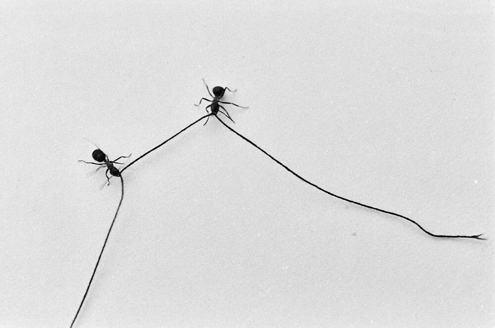 Contact