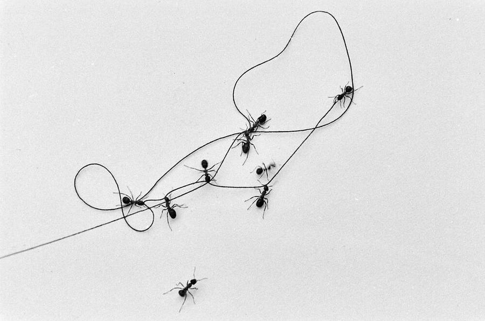 Contact
