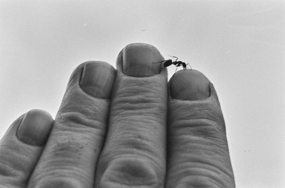 Contact