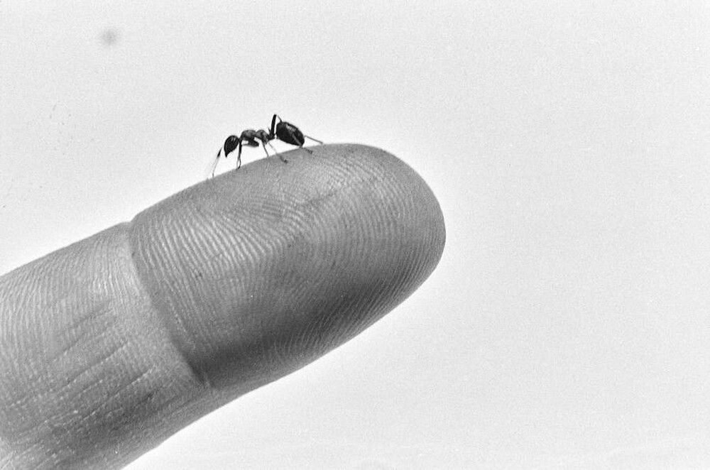 Contact
