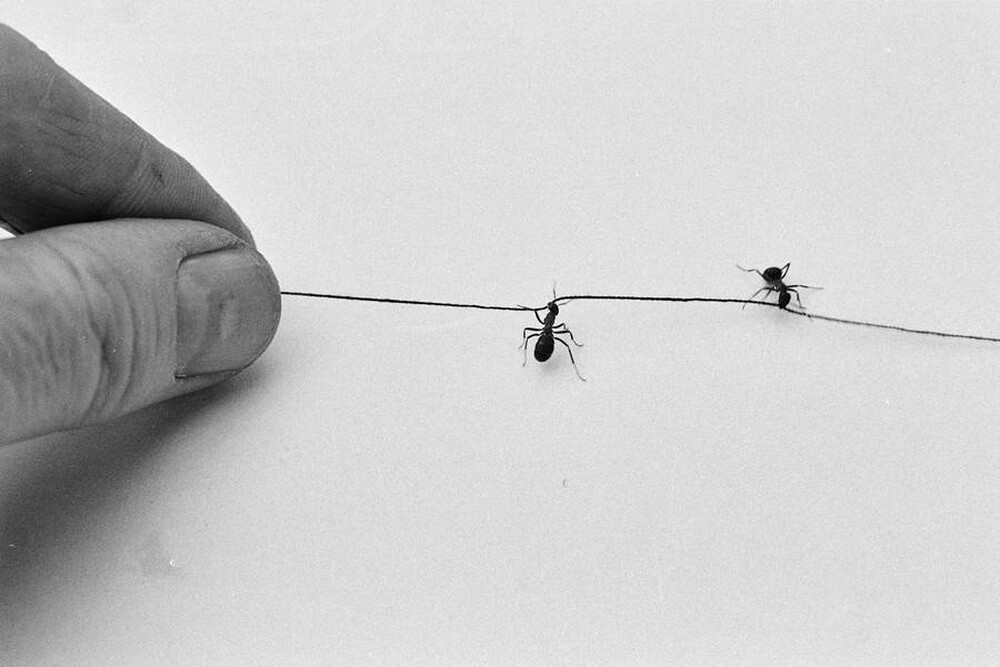Contact
