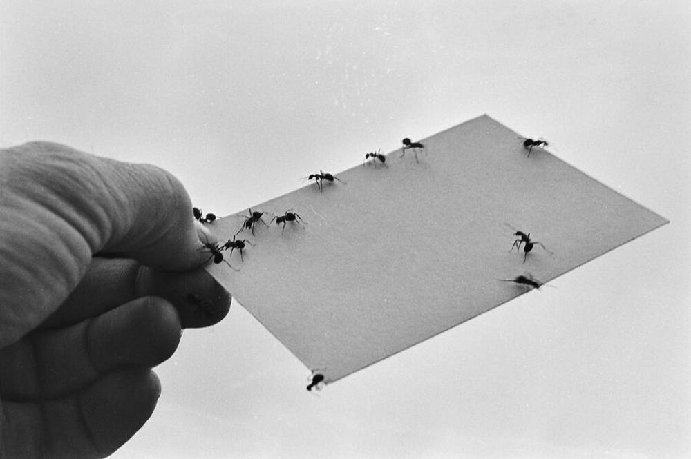 Contact