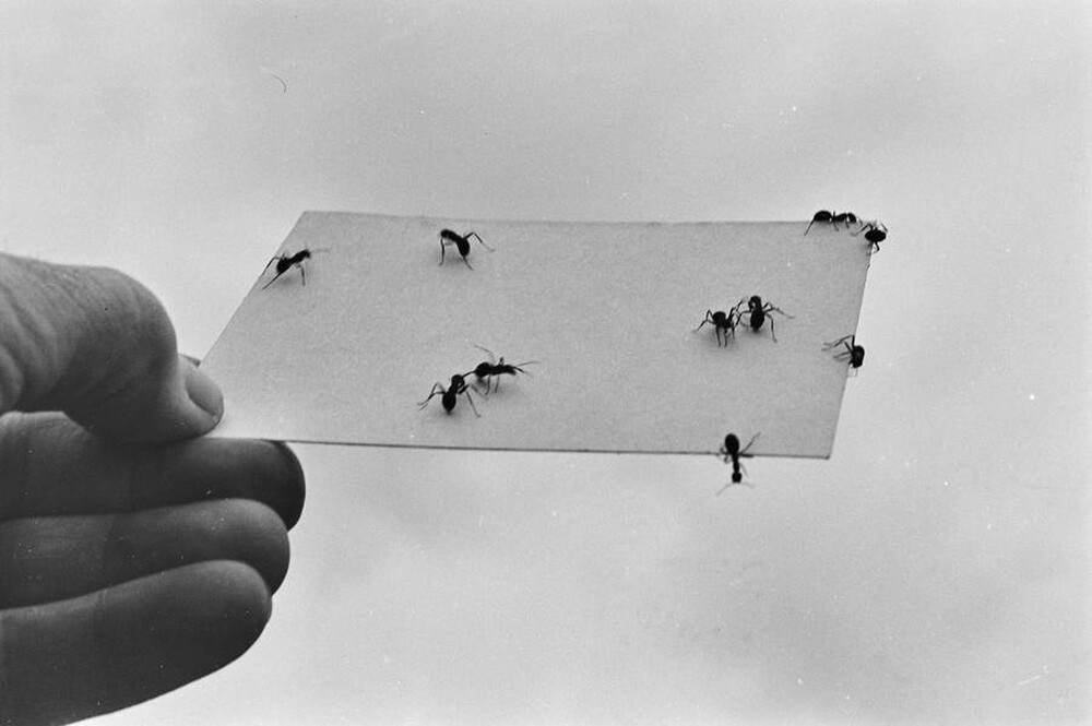Contact
