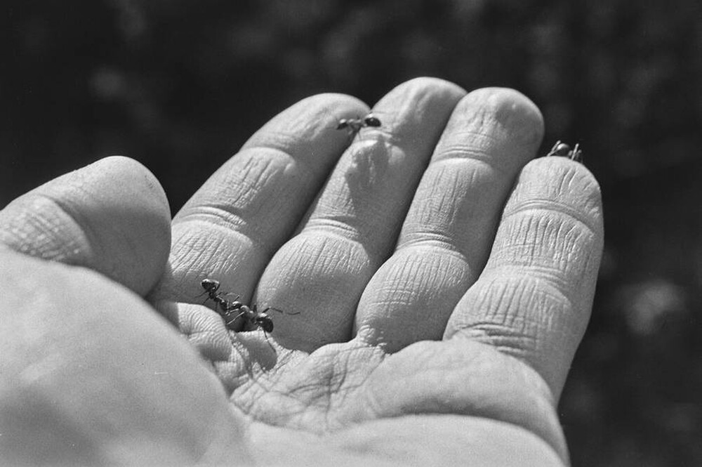 Contact