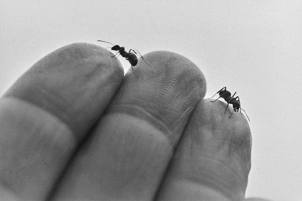 Contact