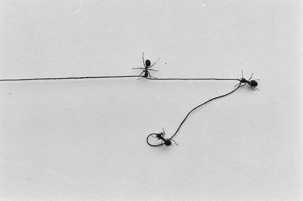Contact