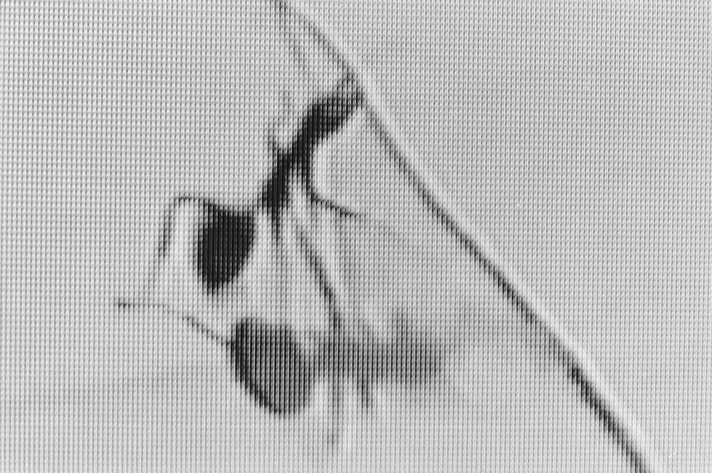 Contact